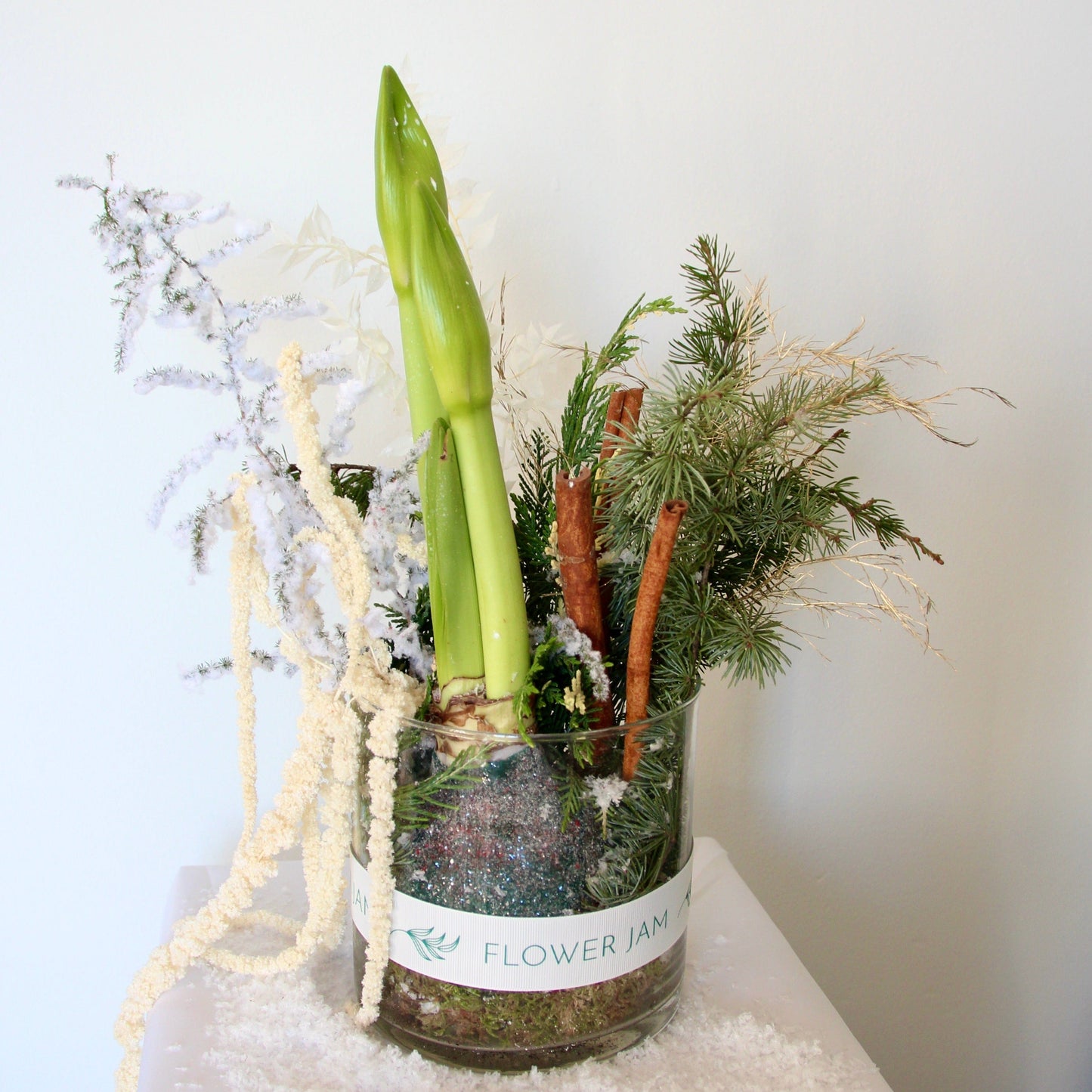 Amaryllis and cinnamon pine tree Christmas arrangement product_type