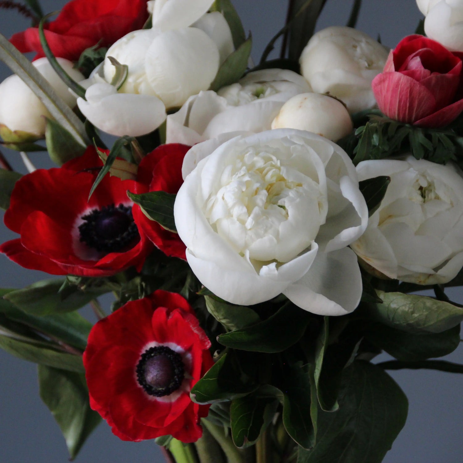 bouquet of White Peonies and Red Anemones
