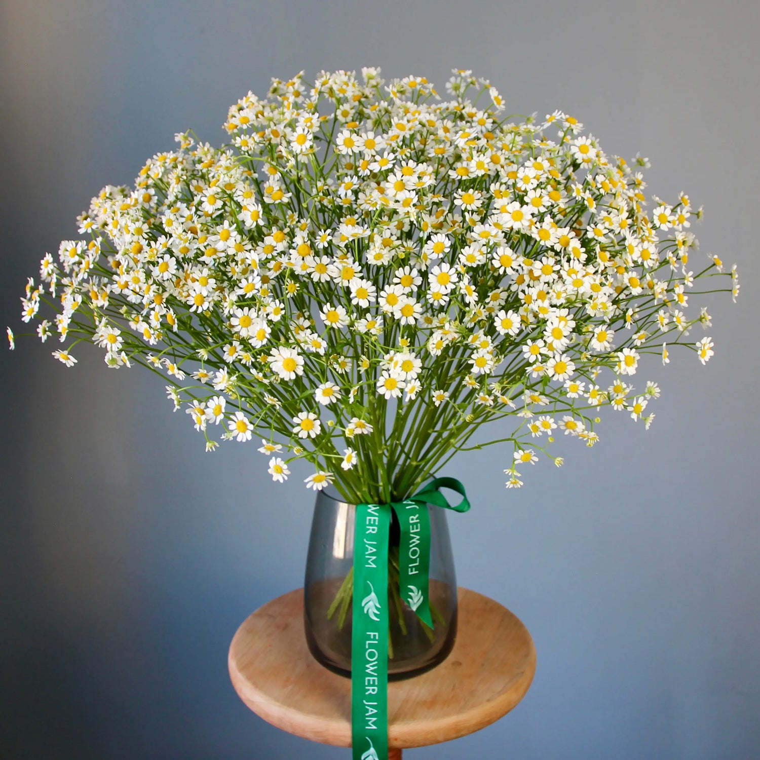 bouquet of camomile