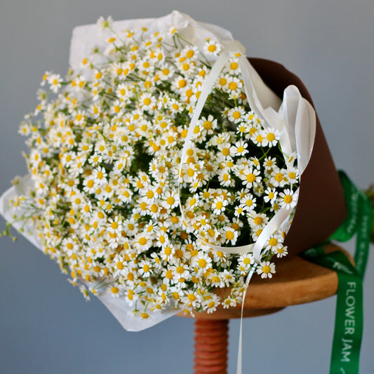 camomile bouquet