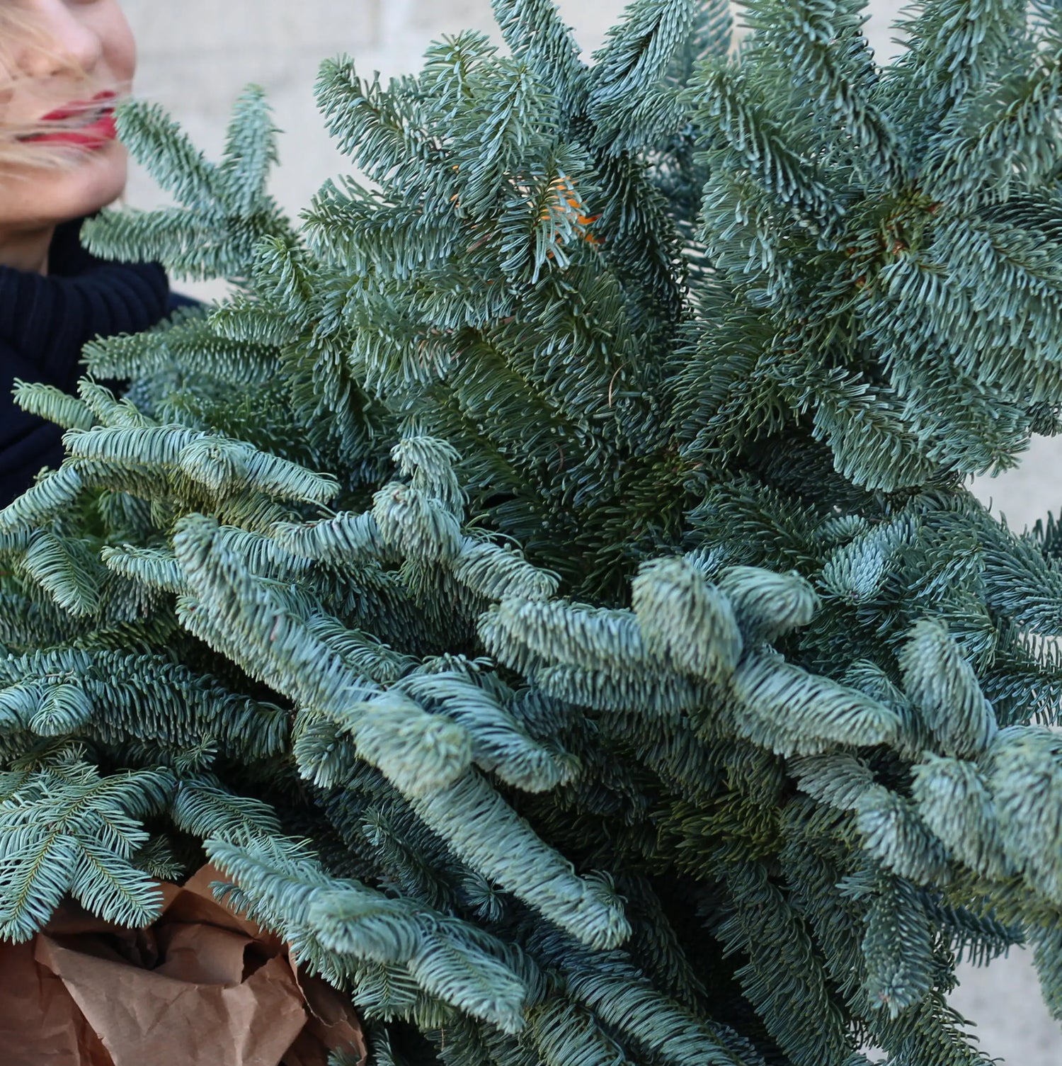 bunch f christmas trees