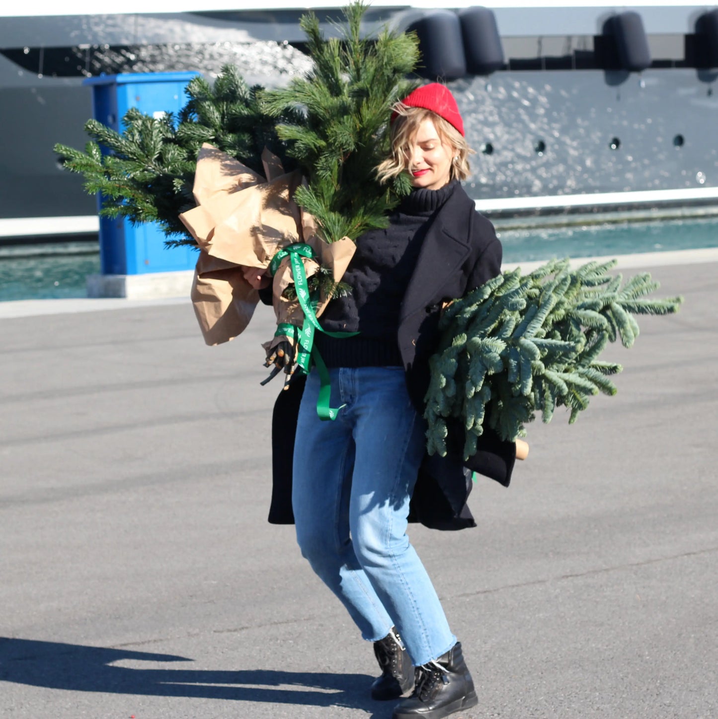 Bunch of Christmas Trees 