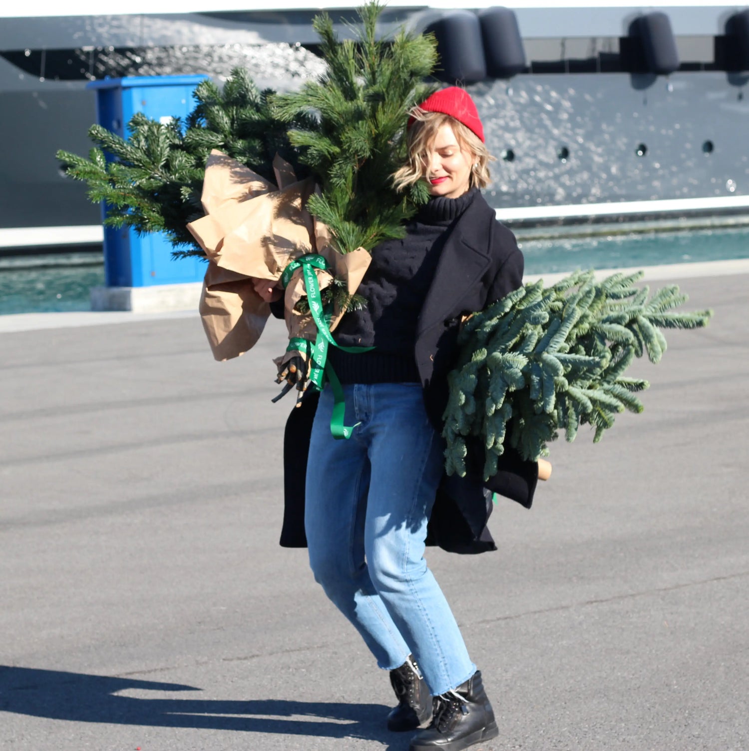 Bunch of Christmas Trees 