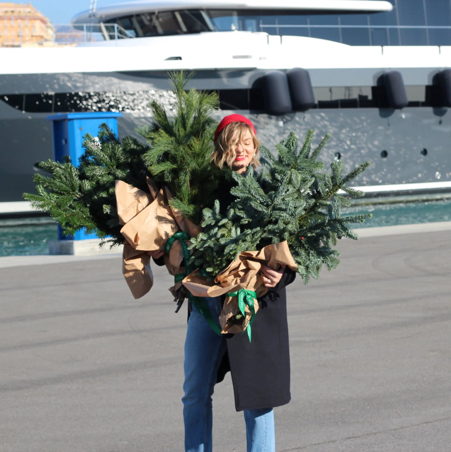 bunch of christmas trees
