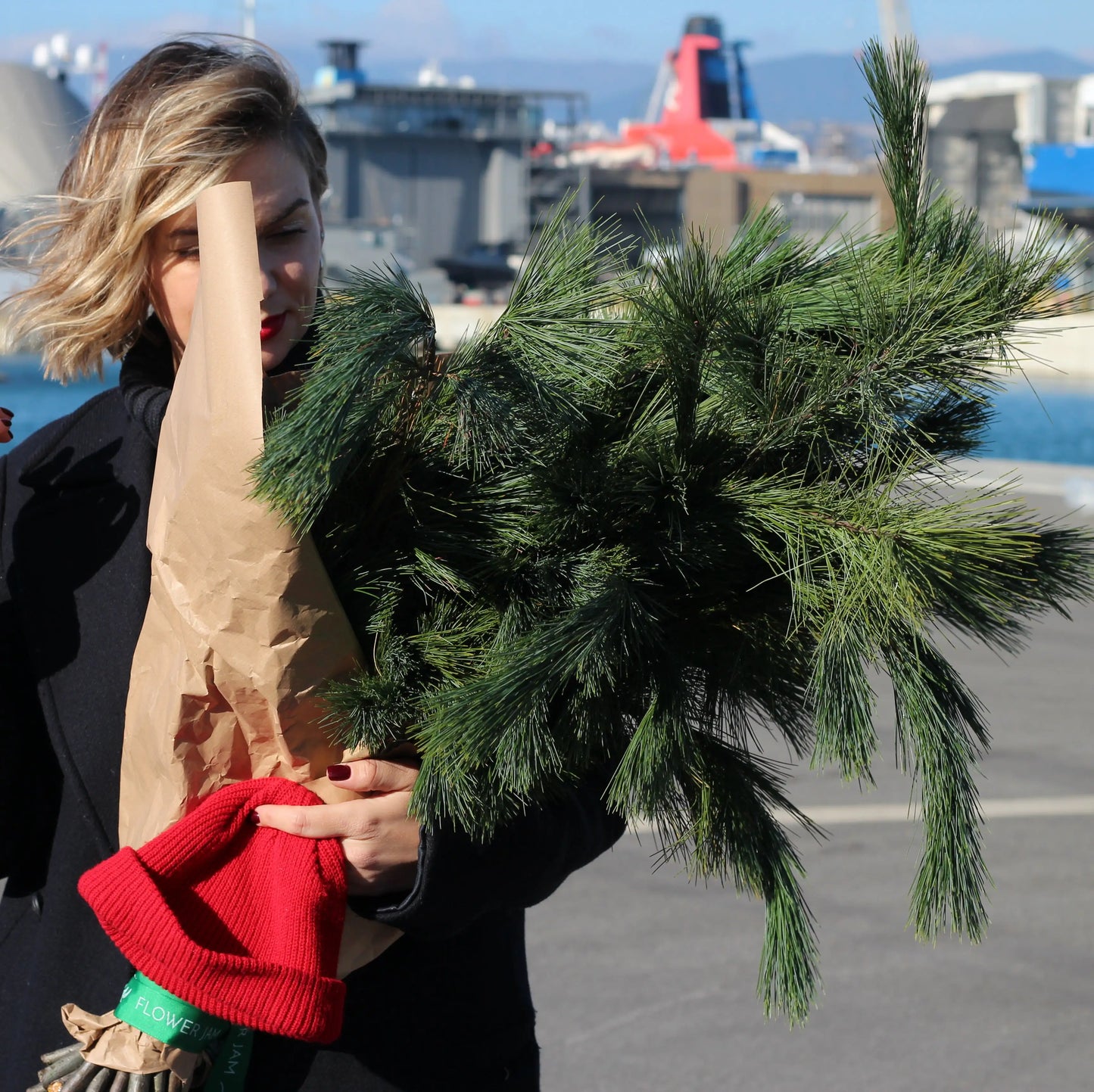 bunch of christmas tree