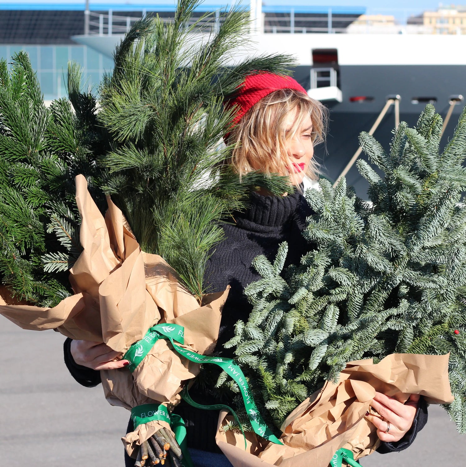 bunch of christmas tree christmas tree
