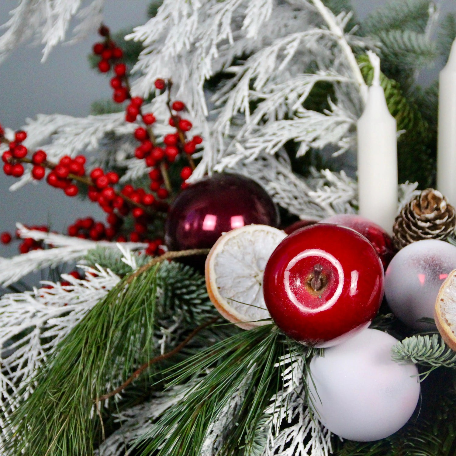 red berries branches of blue spruce Christmas Composition