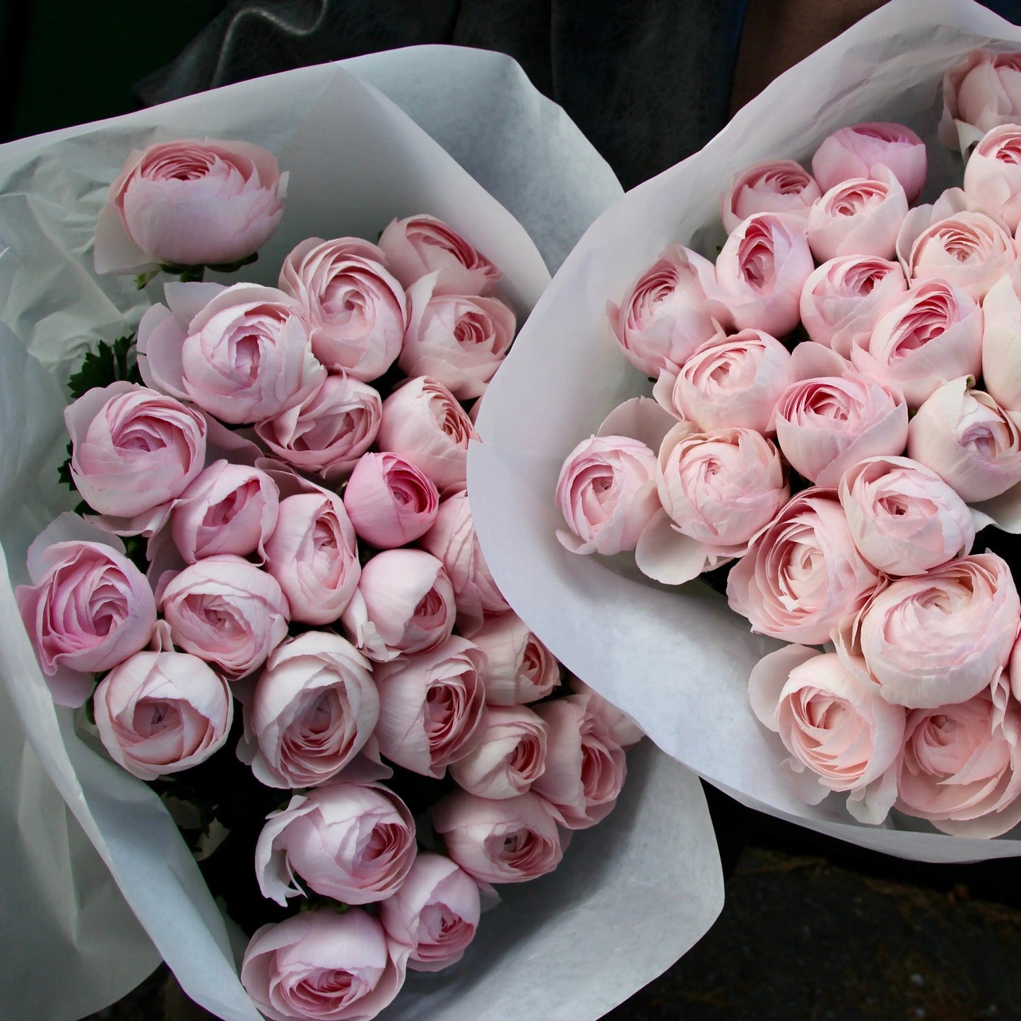 Pink ranunculus bouquet