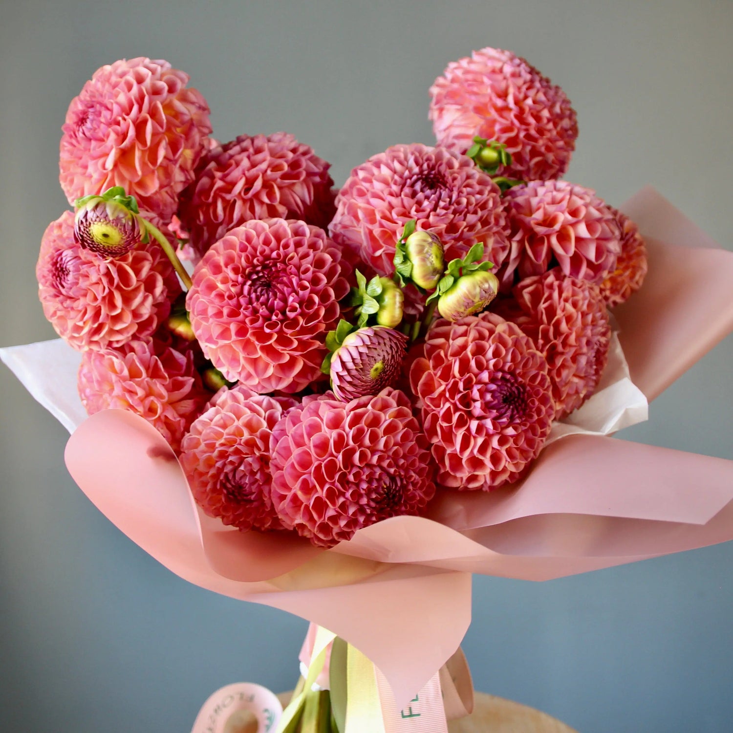big bouquet of pink dahlias in genova