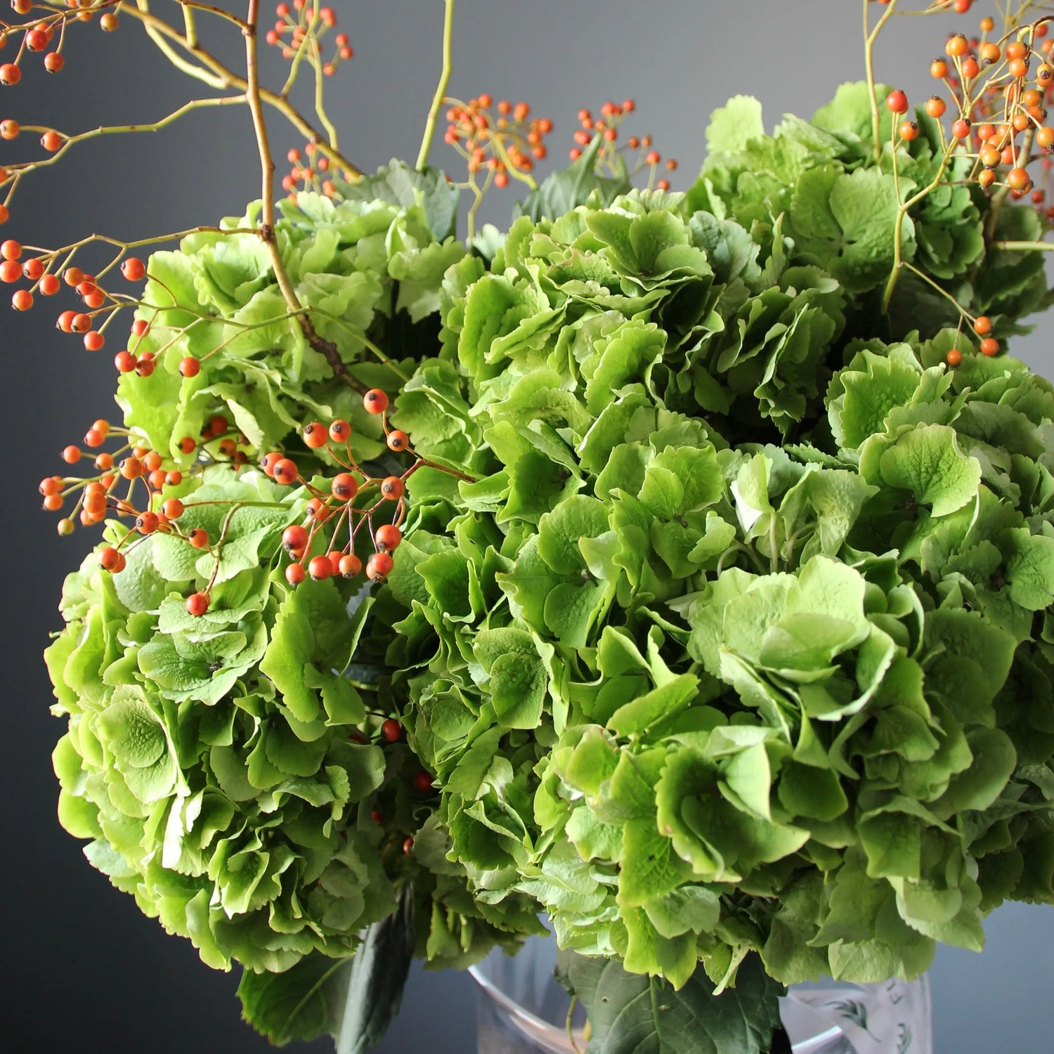  Bouquet of green Hydrangea