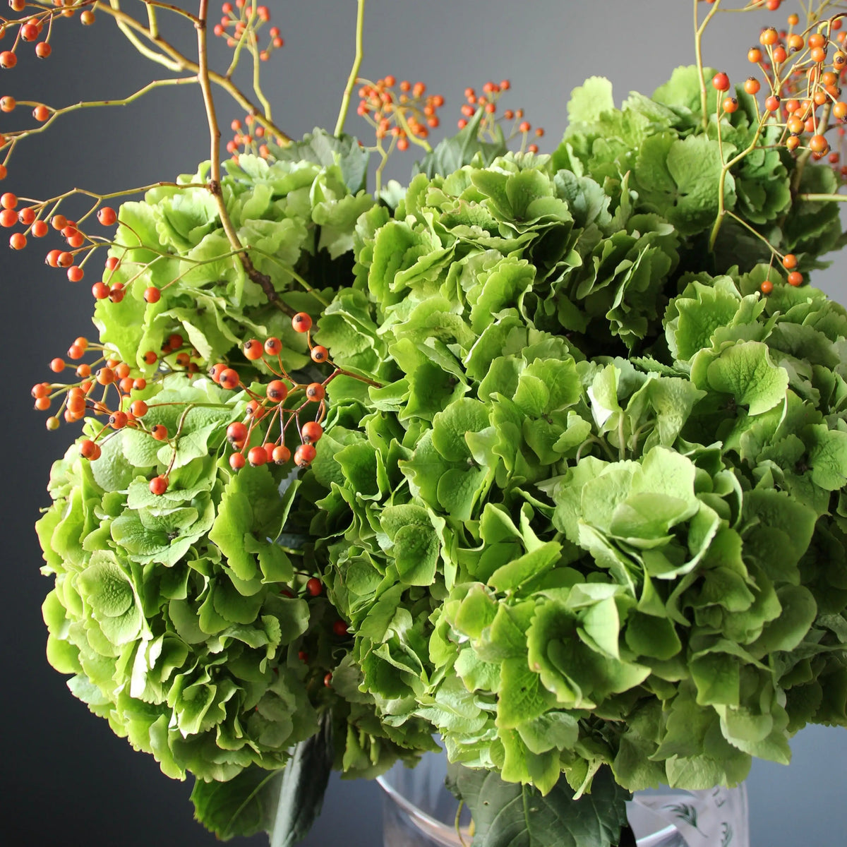  Bouquet of green Hydrangea