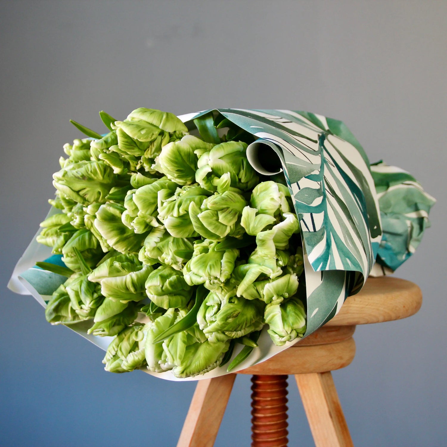 bouquet of green parrot tulips