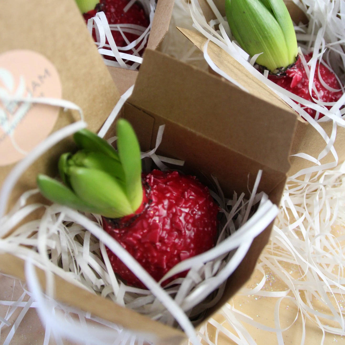delivery hyacinth bulbs Genoa Flowers