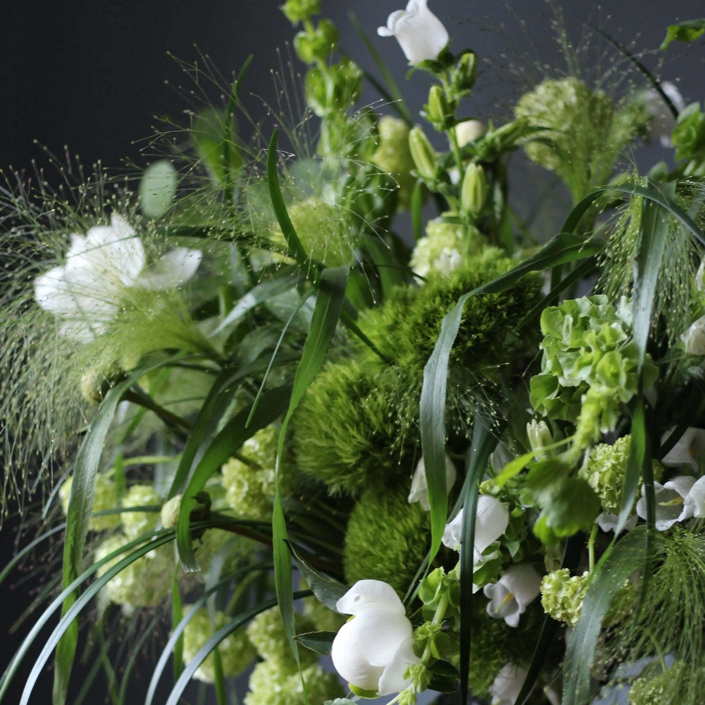 Bouquet of Viburnum, White and Sweet Peonies, Panicum grass, Green Trick, Talapsis and Campanula.