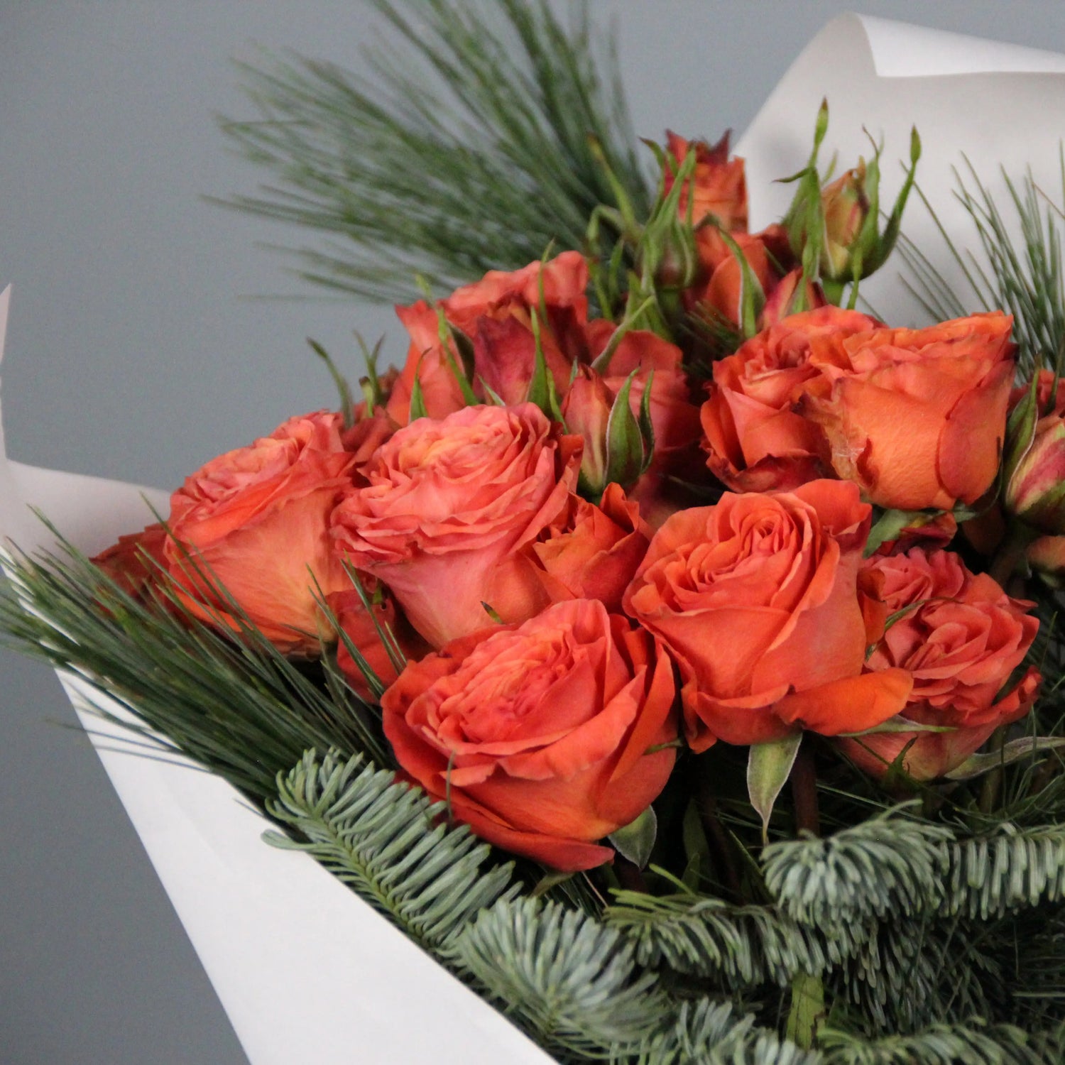 Orange roses and spruce branches bouquet  Bouquet of Flowers