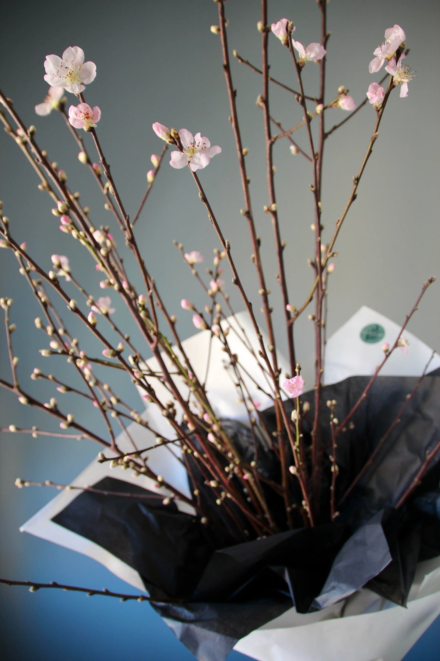 Blooming Peach Branches