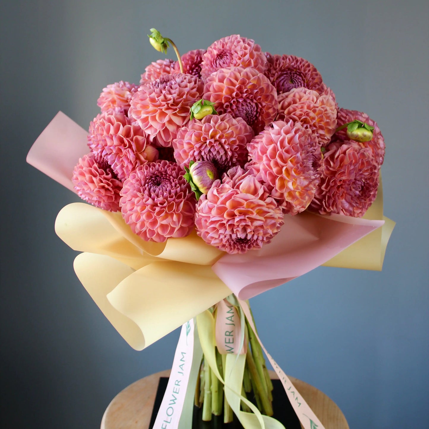 big bouquet of pink dahlias in genova