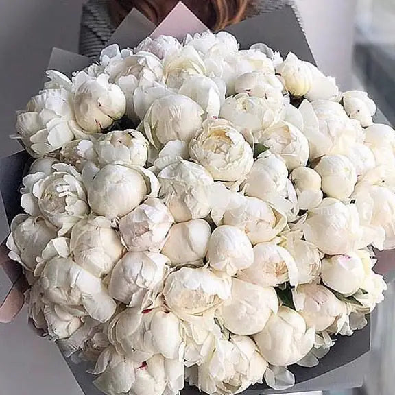 bouquet of white peonies