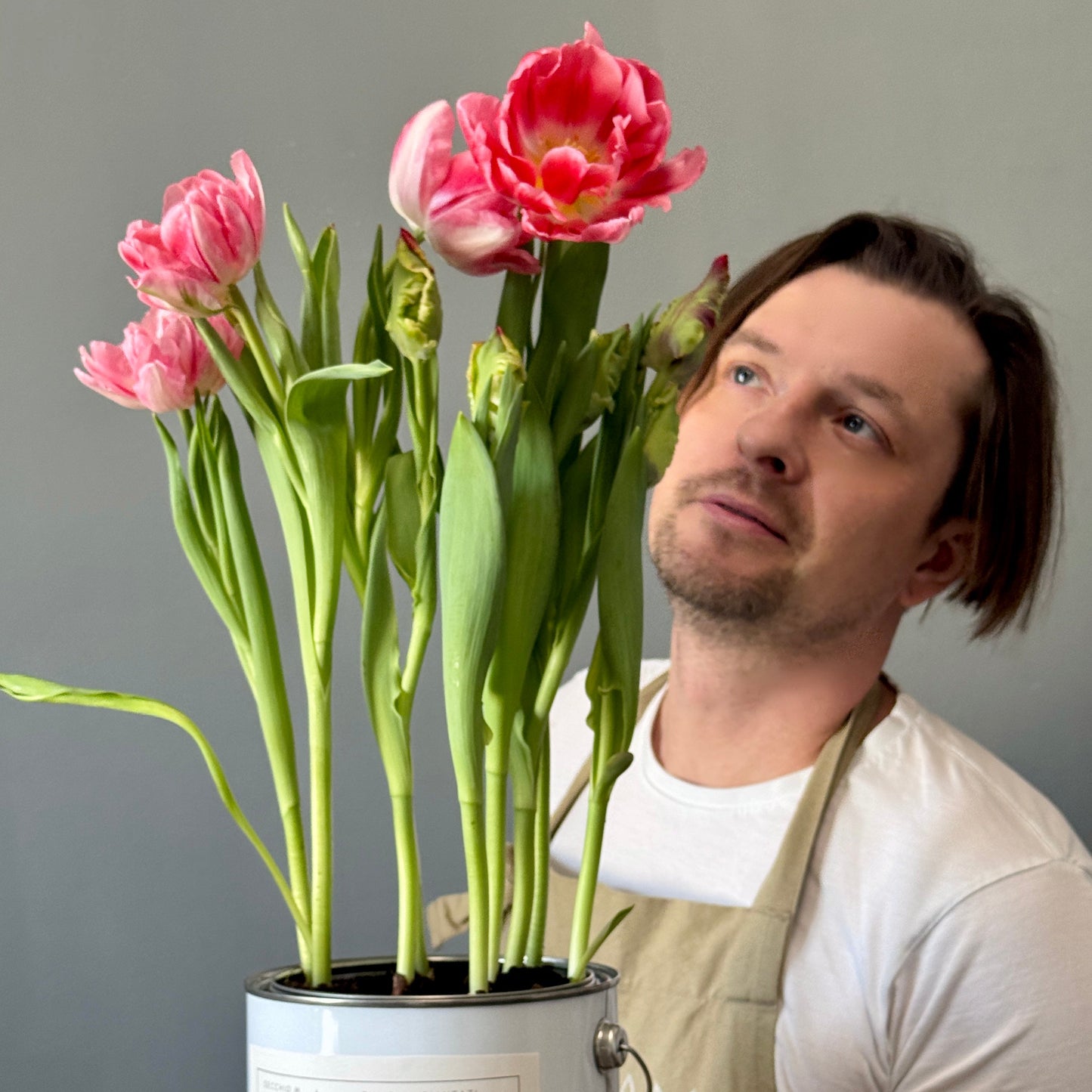 Man looking at pink tulips