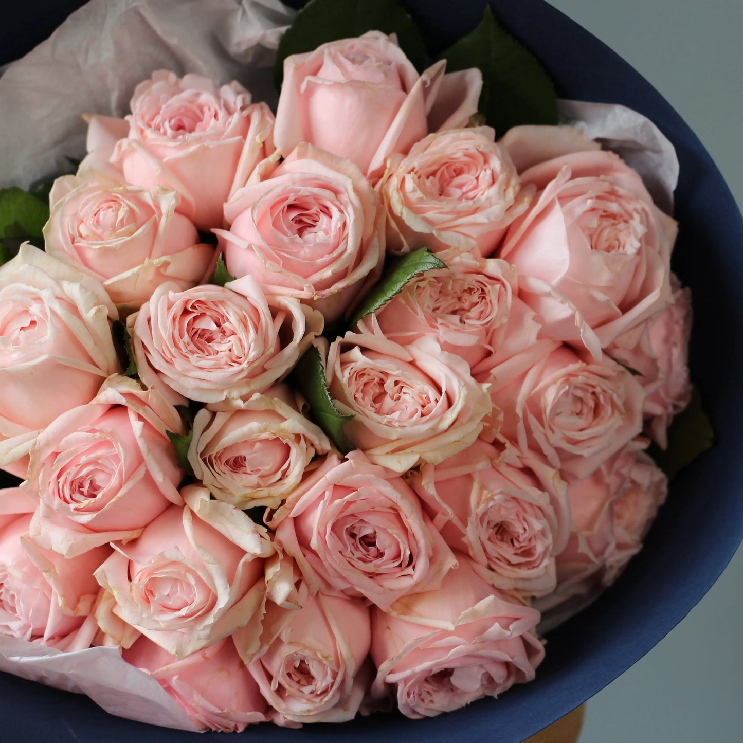 pink roses princess hitomi genova Flowers