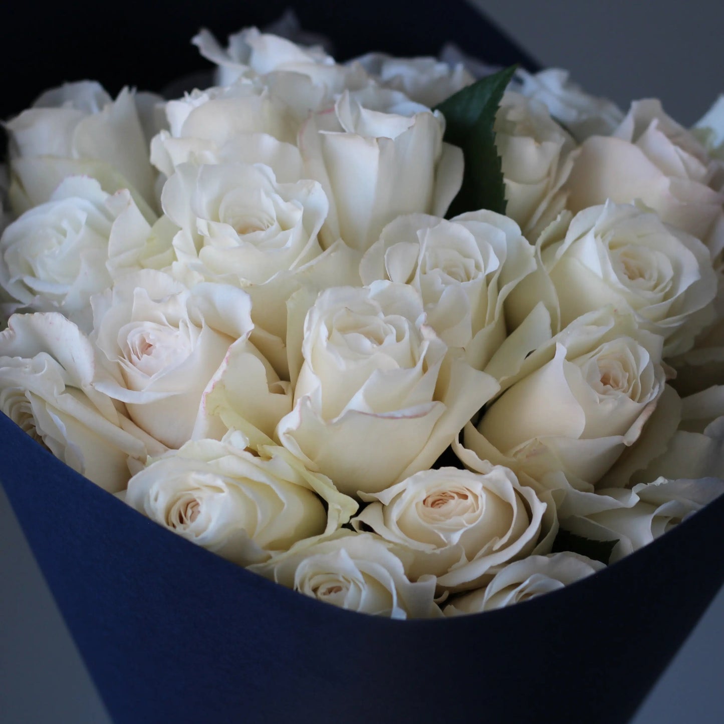 white flowers in blue paper