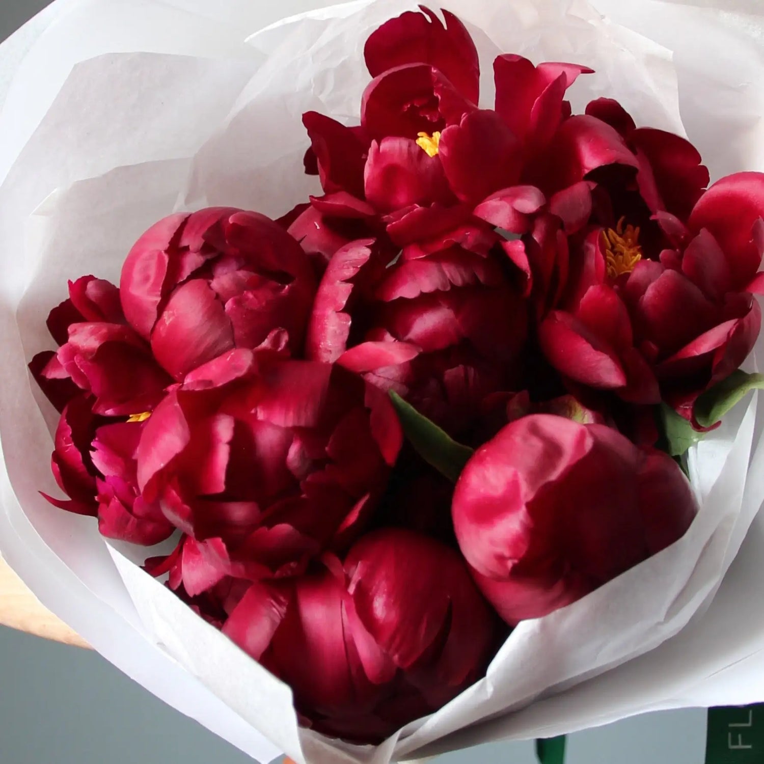 bouquet of red peonies