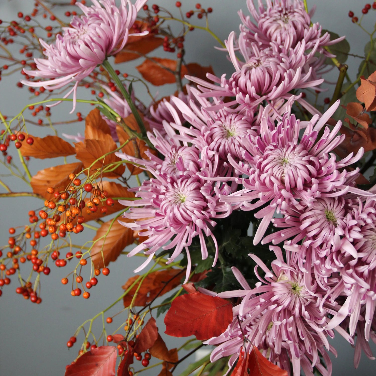 bouquet of big colorful flowers
