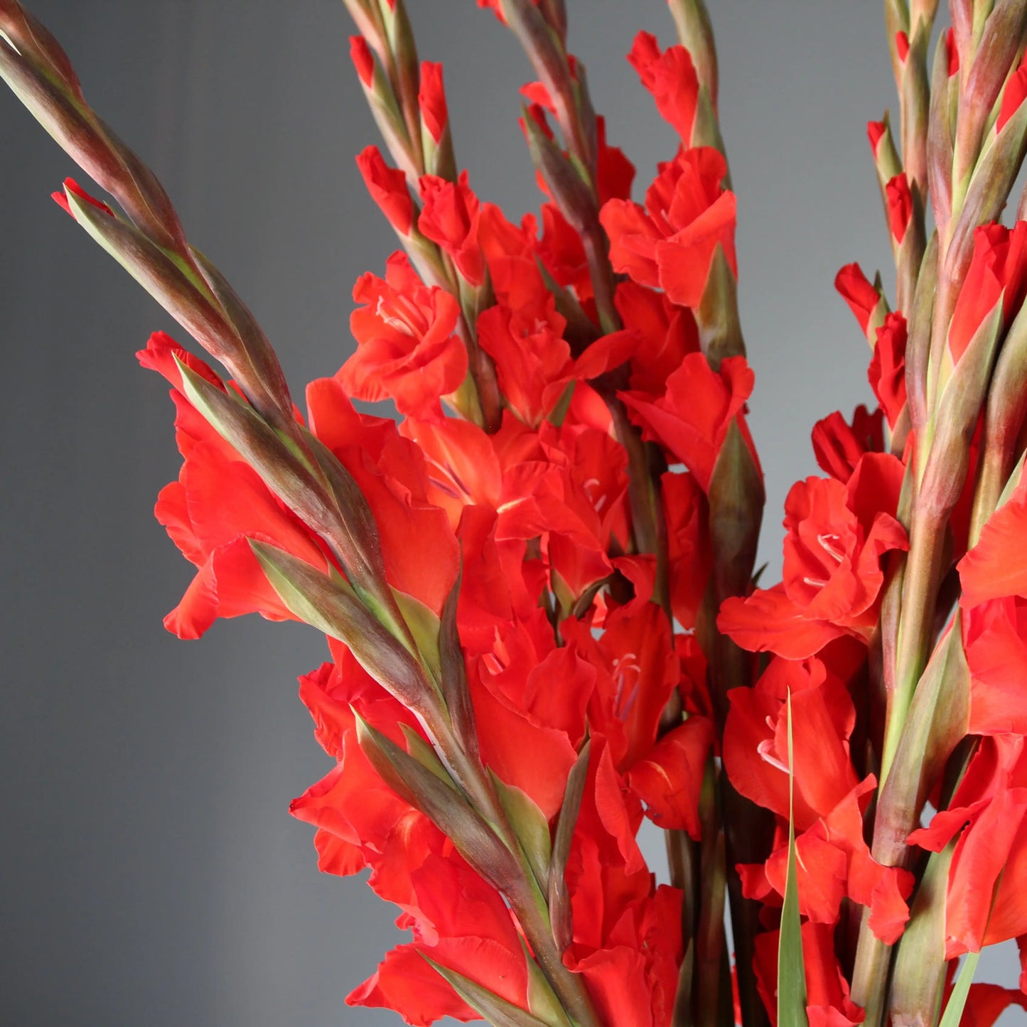 wedding florist liguria Flowers