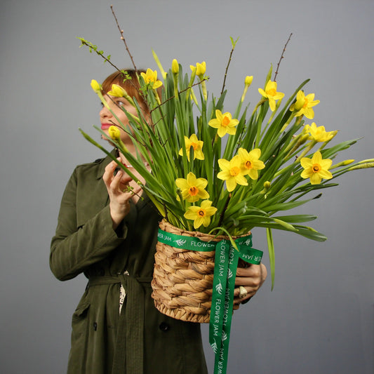 yellow daffodils in a basket