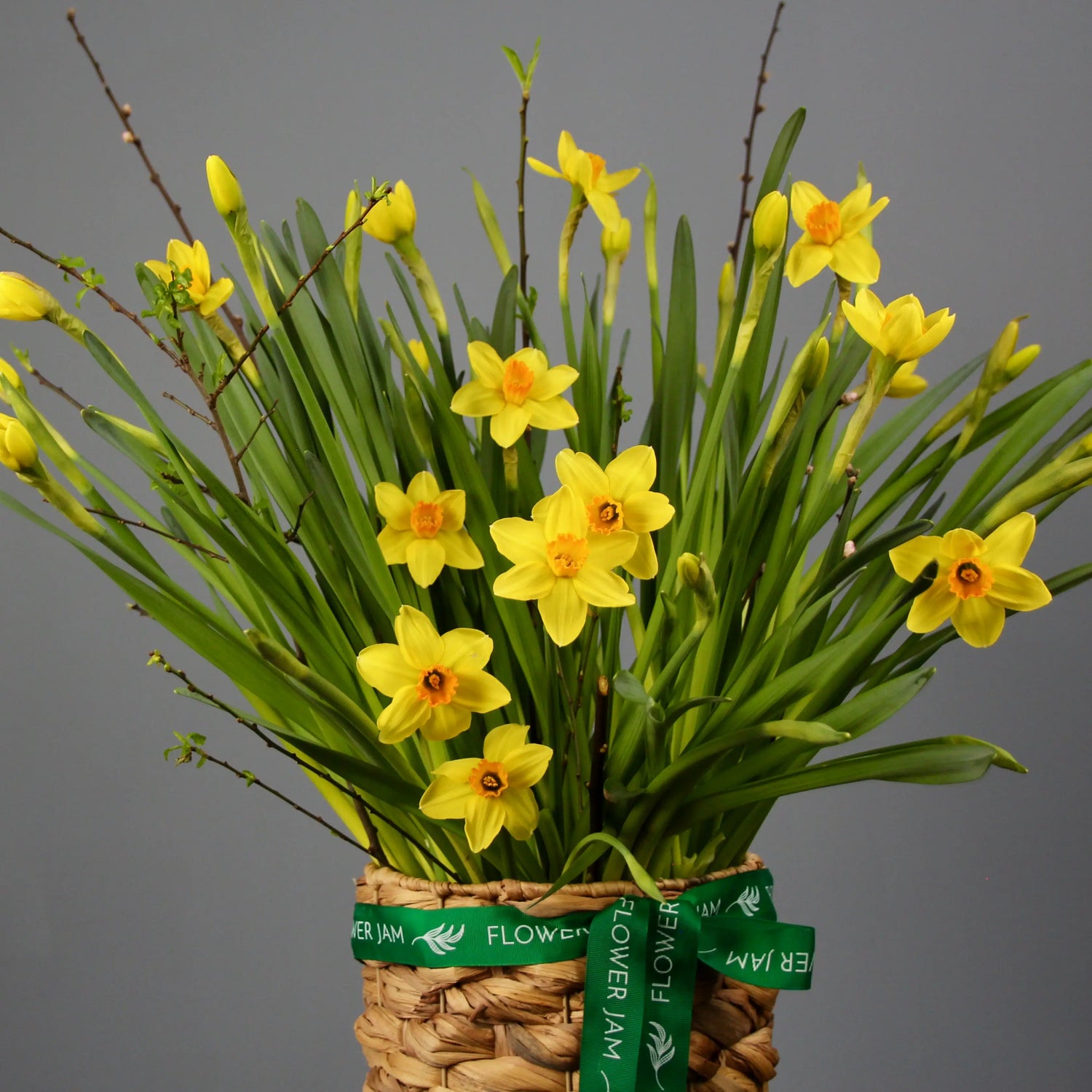 yellow daffodils in a basket