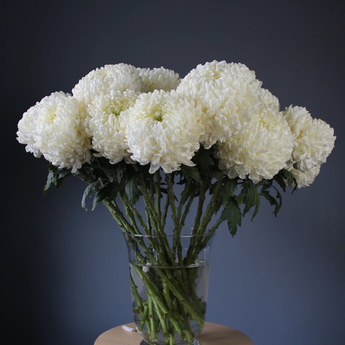 white flowers delivery Genoa Bouquet of Flowers