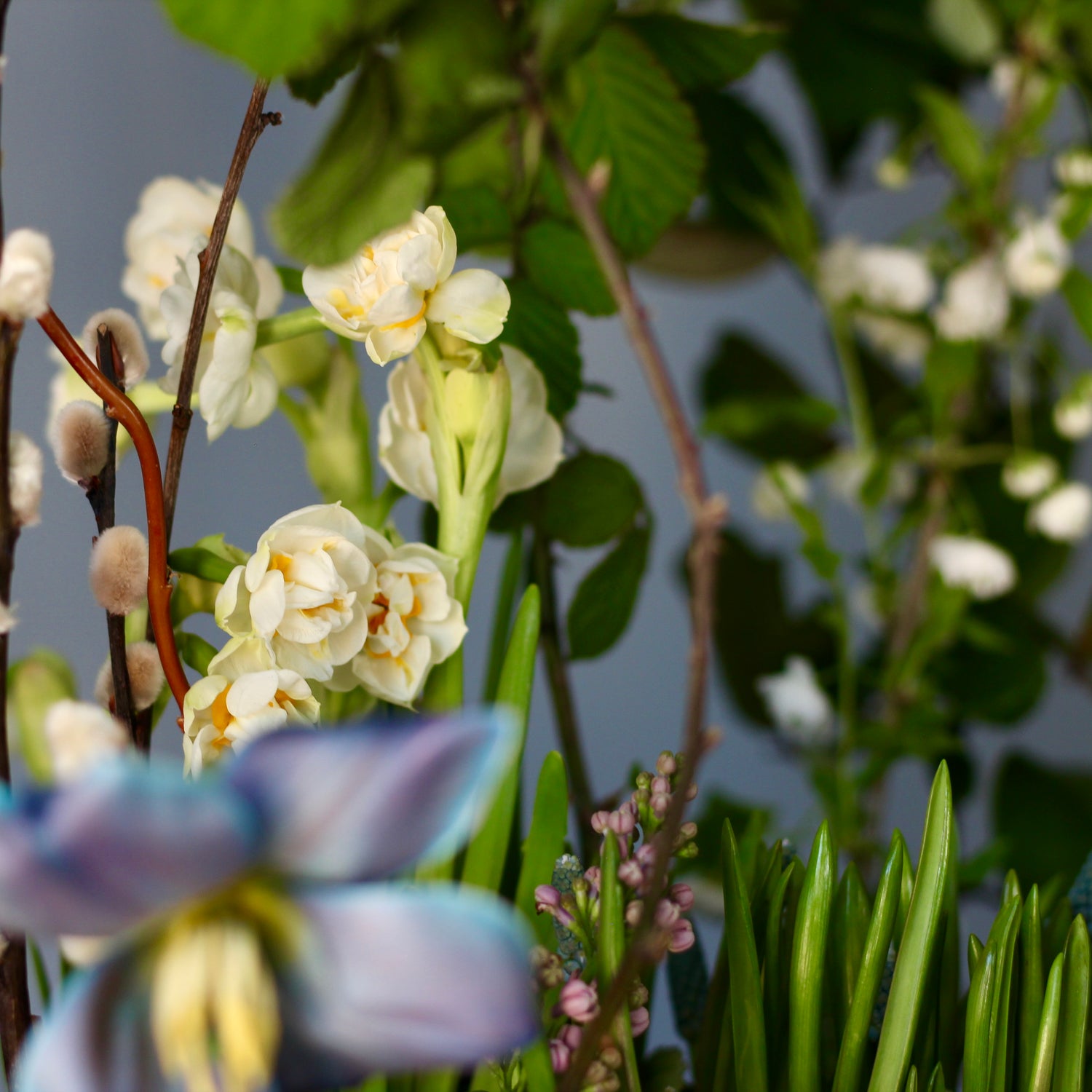 flower shop in Genoa Flower Composition