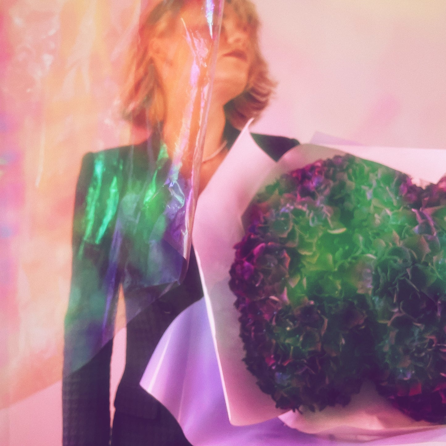 flowers of genoa Flowers