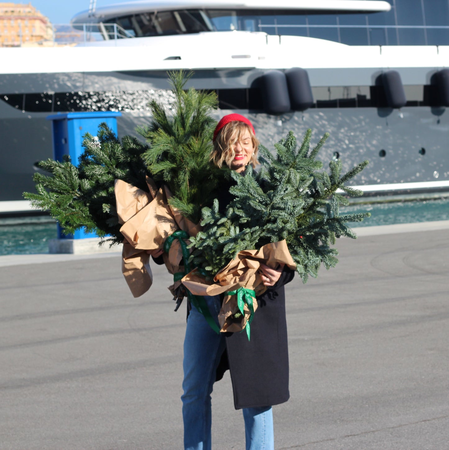 consegna fiori a Genova christmas tree