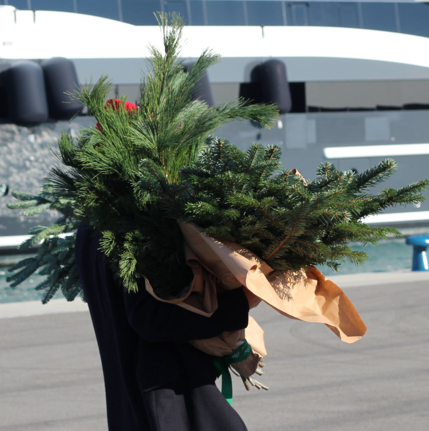 albero di natale a Genova christmas tree