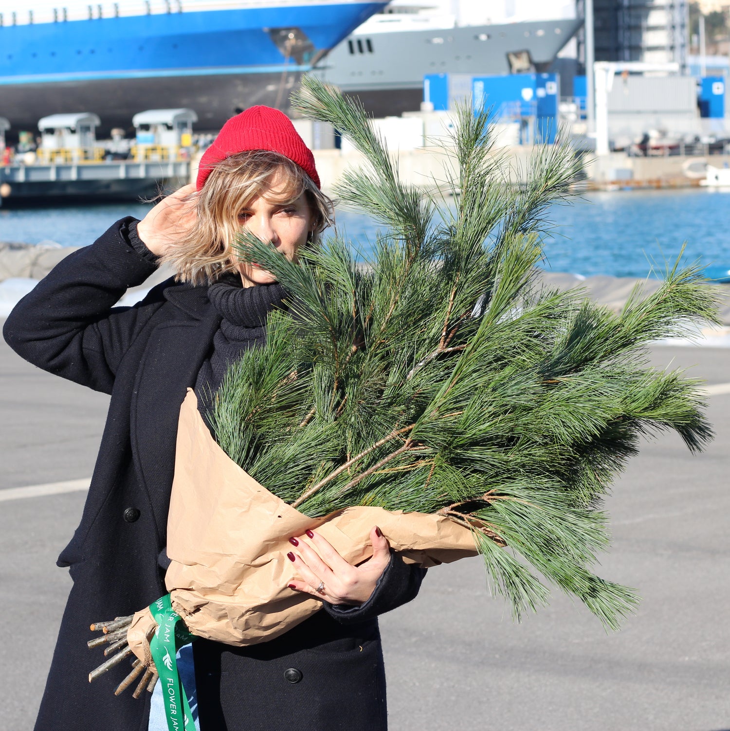 Pine-Tree christmas tree