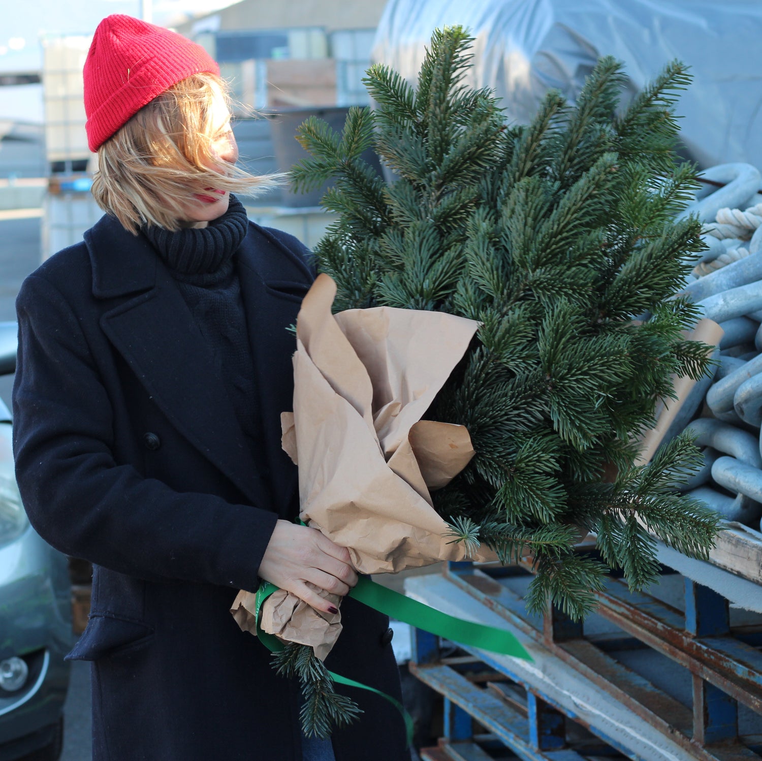 Red hat girl with pine  christmas tree