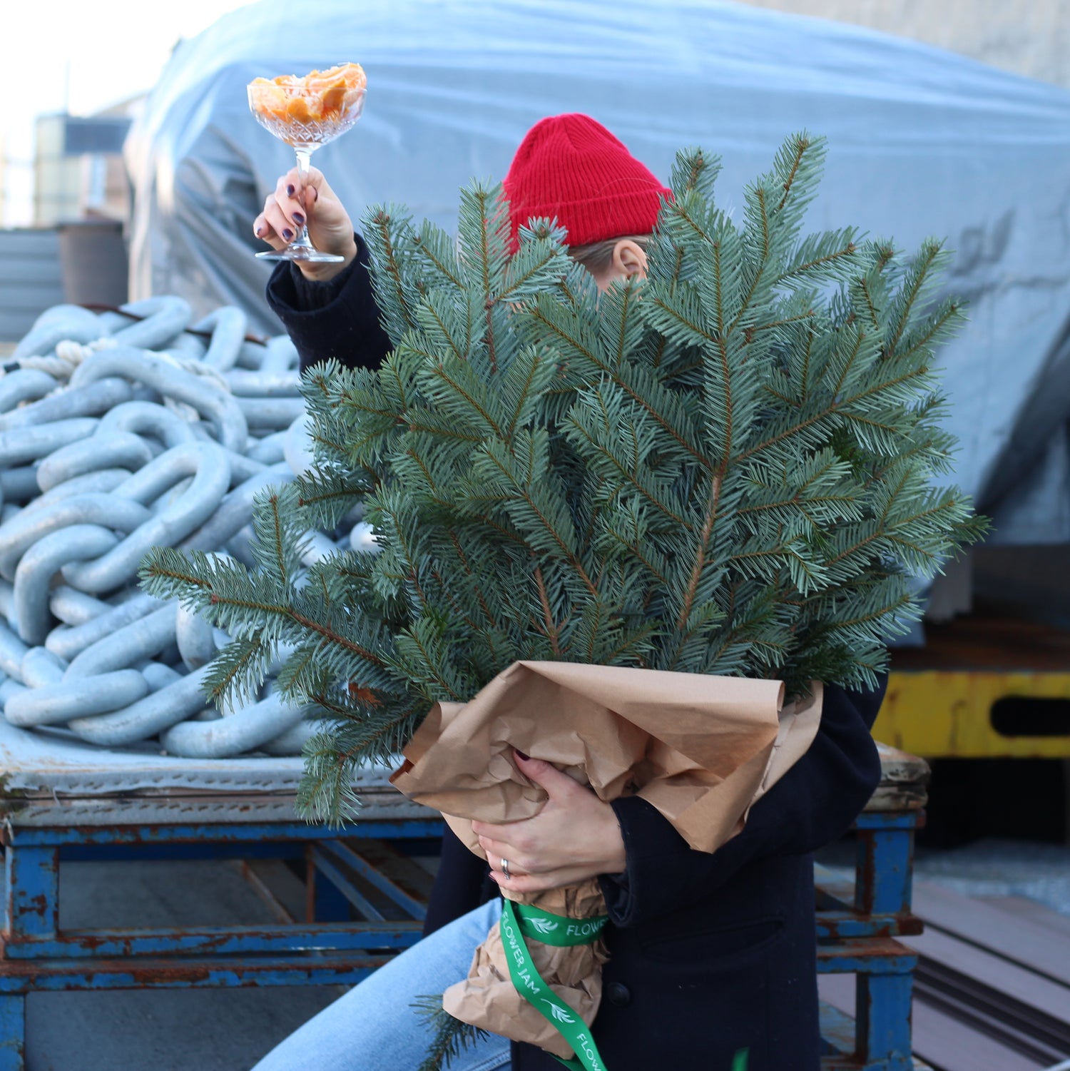 Festegiamo natale a Genova christmas tree