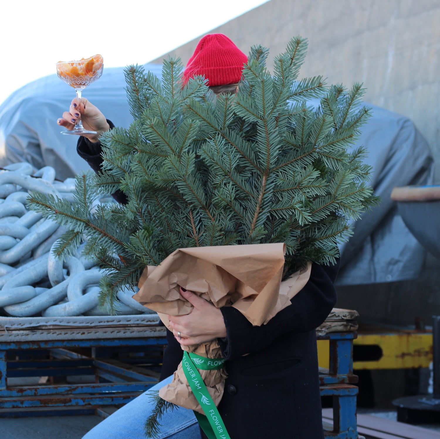 how much cost christmas tree in Genoa christmas tree