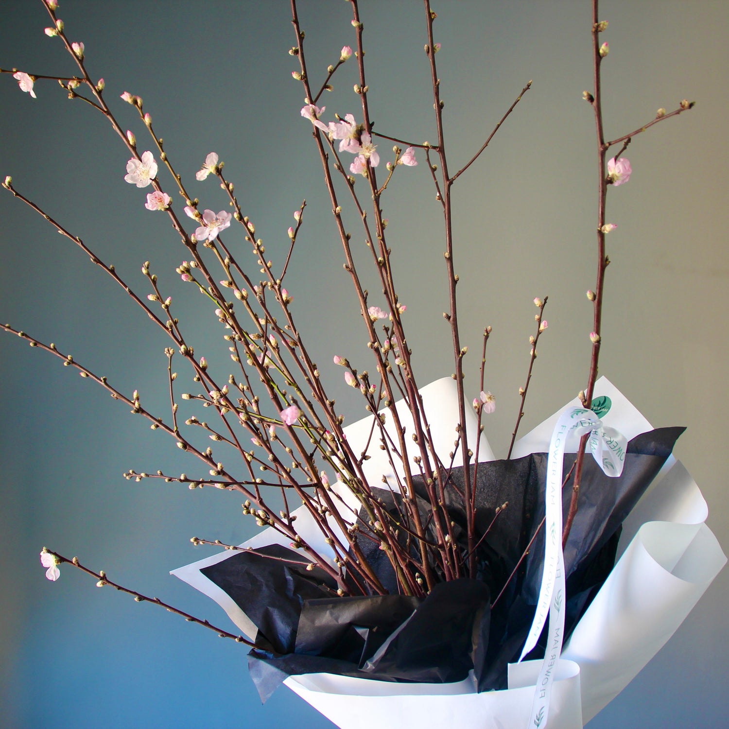 Blooming Peach Branches