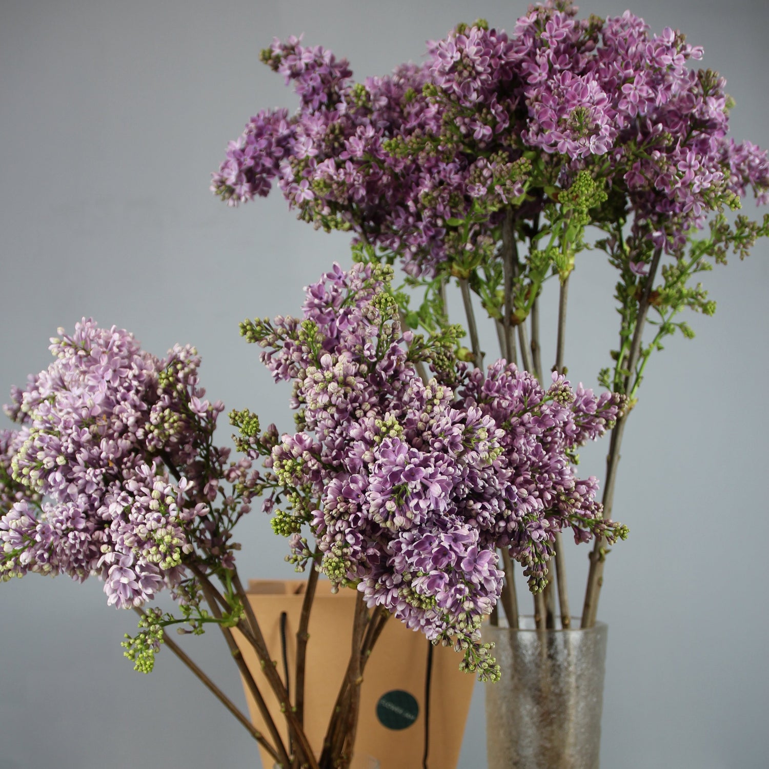 lilac delivery in Genoa