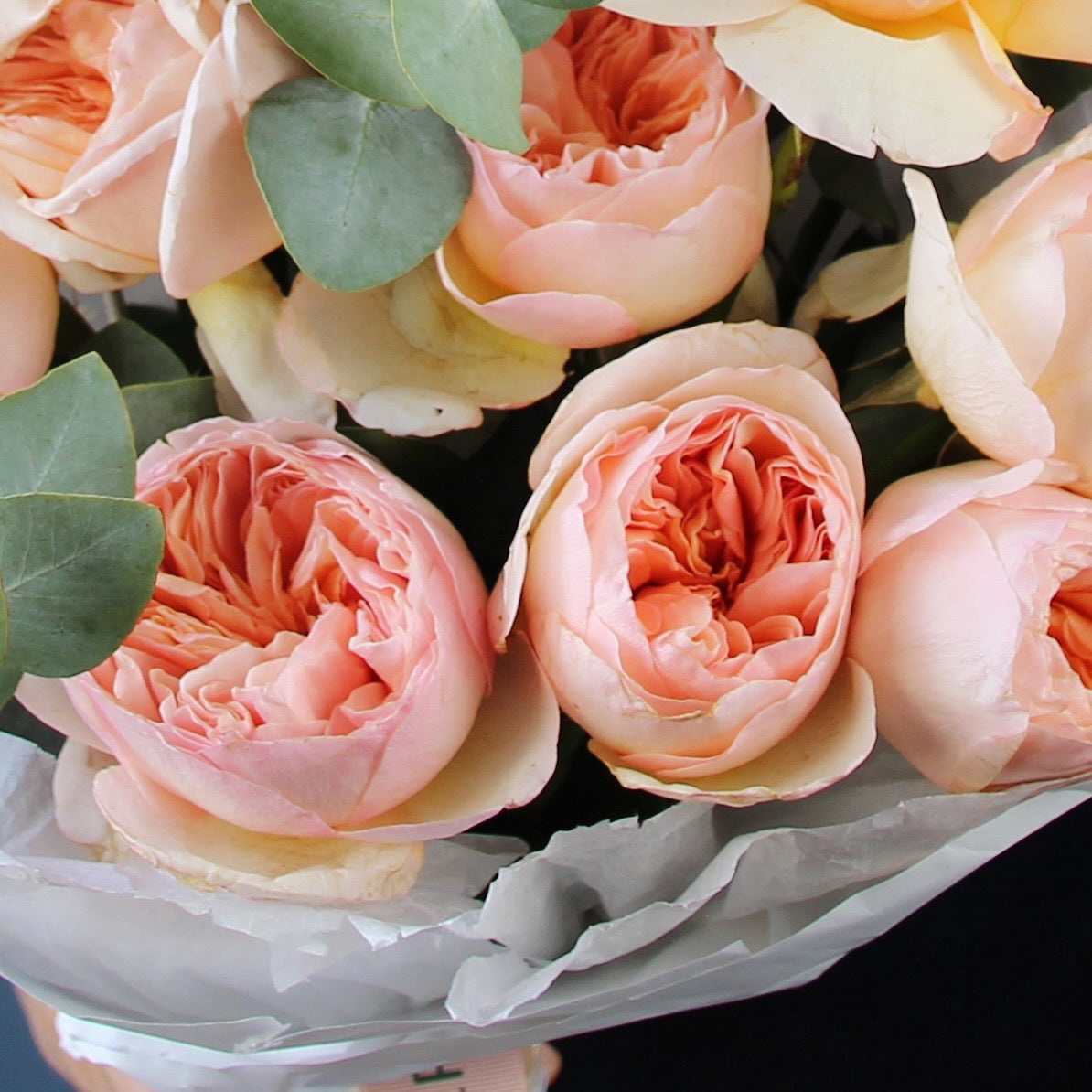 flower shop genoa Flowers